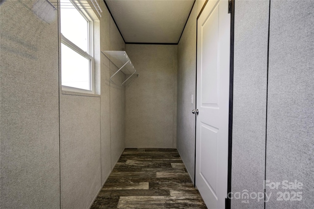 spacious closet featuring dark wood-type flooring