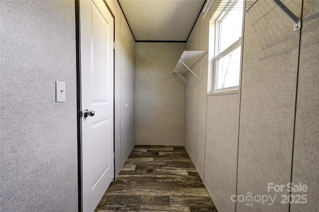 walk in closet featuring dark hardwood / wood-style flooring