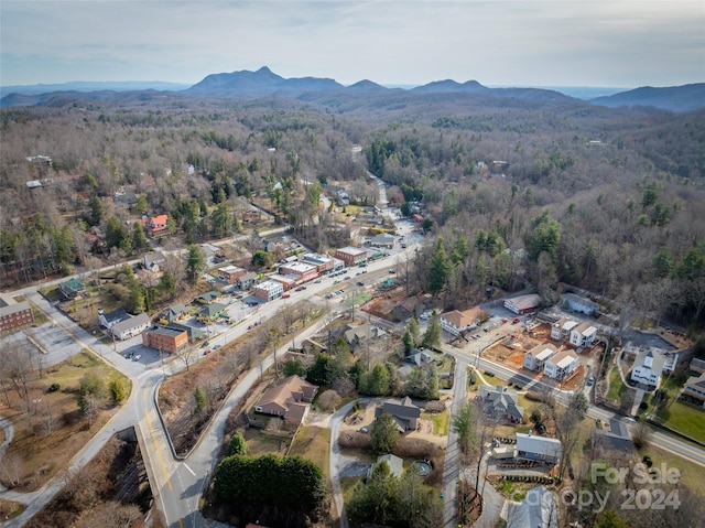 birds eye view of property with a mountain view