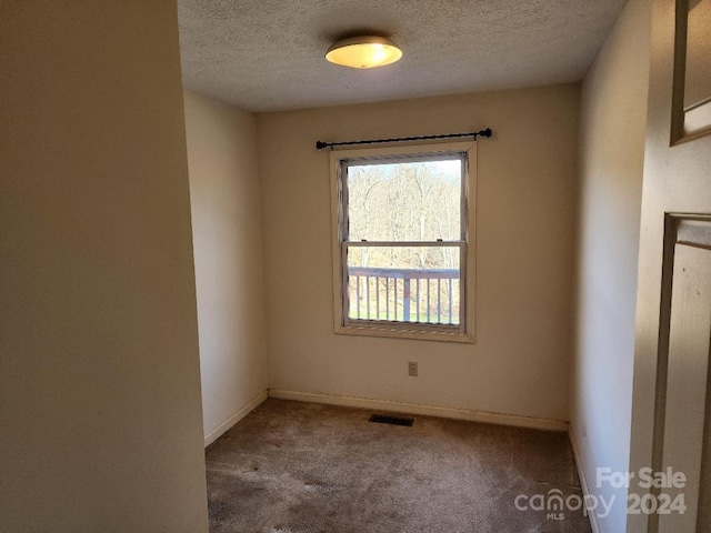 carpeted spare room featuring a textured ceiling