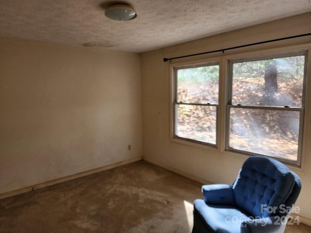 unfurnished room featuring a textured ceiling and carpet flooring