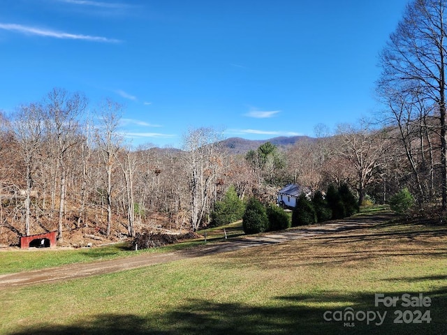 view of yard with a mountain view