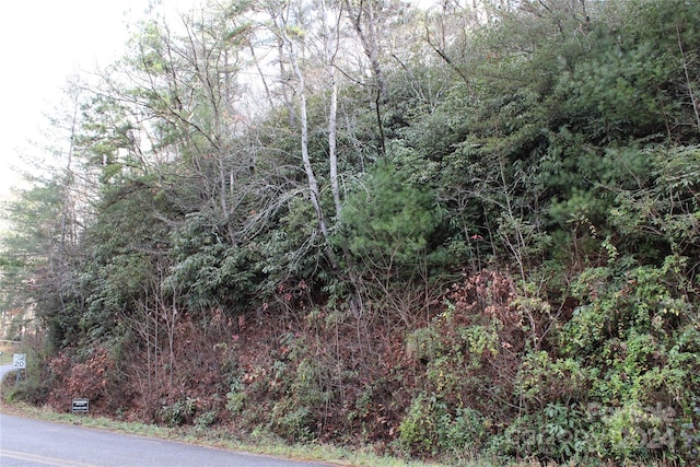 TBD Stamey Creek Rd, Brevard NC, 28712 land for sale