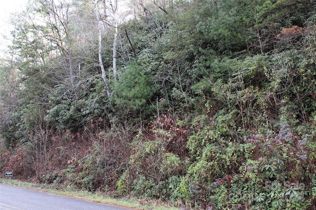 Listing photo 2 for TBD Stamey Creek Rd, Brevard NC 28712