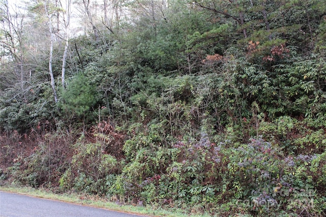 Listing photo 3 for TBD Stamey Creek Rd, Brevard NC 28712