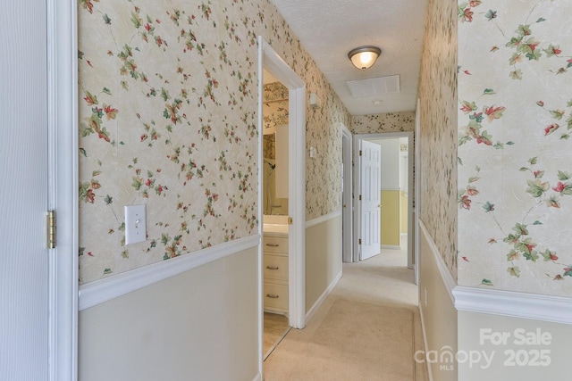 hall featuring light colored carpet and a textured ceiling