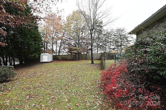 view of yard featuring a storage shed