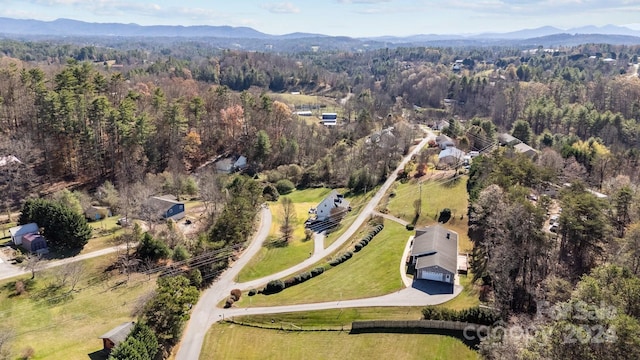 birds eye view of property with a mountain view