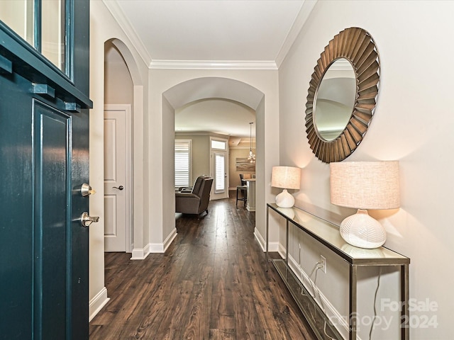 hall with dark hardwood / wood-style flooring and crown molding