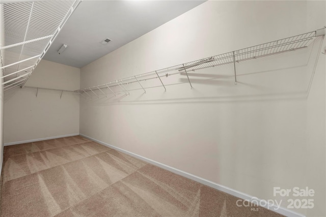 walk in closet with carpet flooring and visible vents