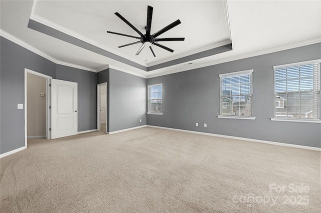 carpeted empty room with a tray ceiling, a wealth of natural light, and baseboards