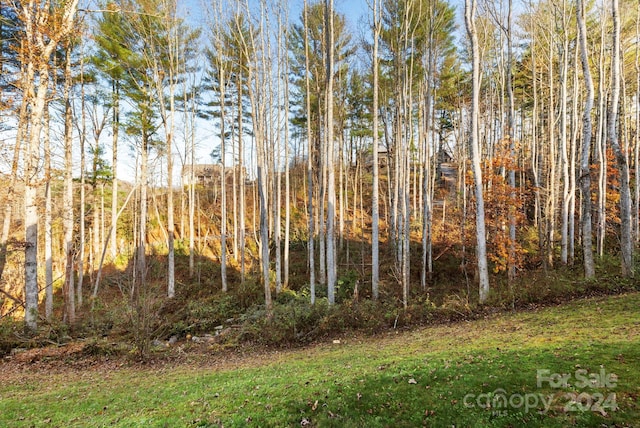 view of local wilderness