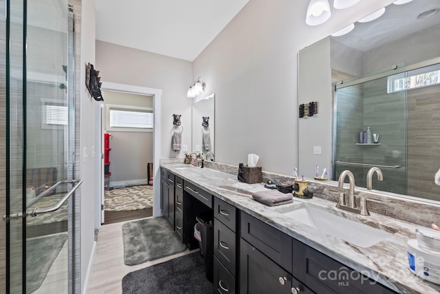 bathroom featuring wood-type flooring, vanity, a wealth of natural light, and a shower with shower door