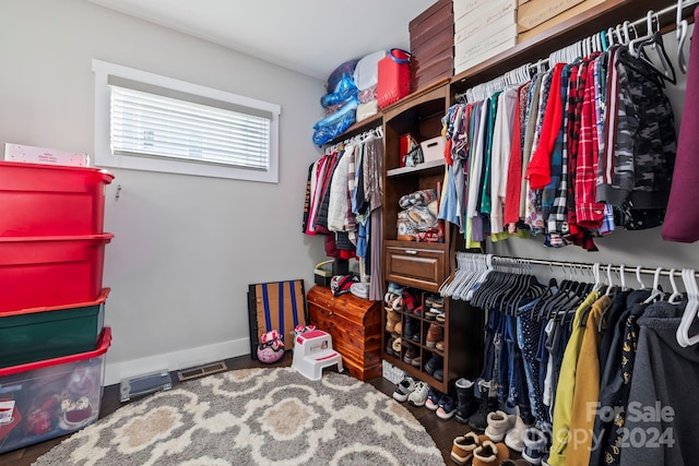 view of spacious closet