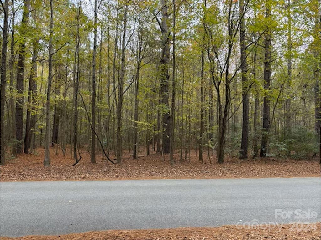 LOT2 Hudson Rd, Summerton, SC 29148