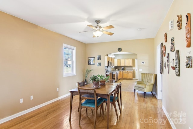 dining room with ceiling fan and light hardwood / wood-style flooring