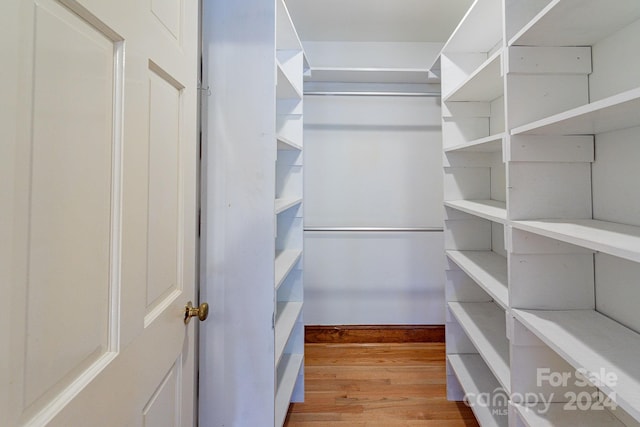 walk in closet with light hardwood / wood-style floors