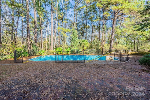 view of swimming pool