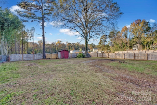 view of yard featuring a storage unit