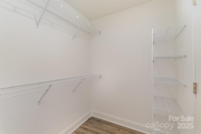 walk in closet with wood finished floors