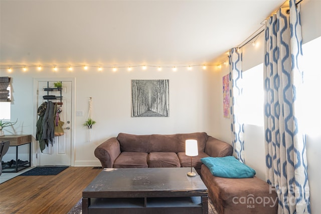 living room featuring dark hardwood / wood-style flooring