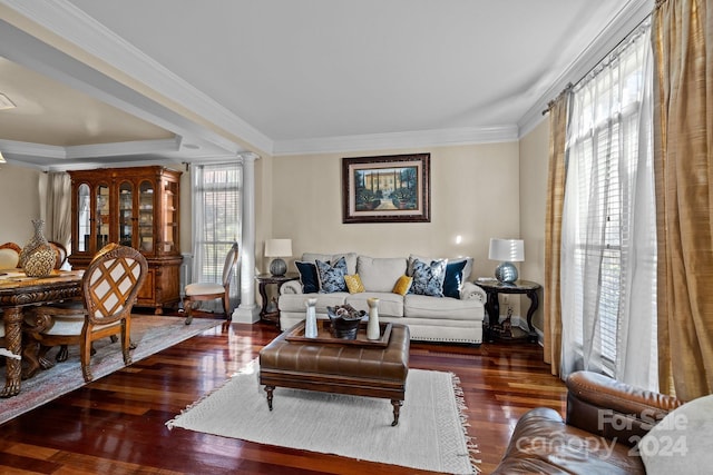 living room featuring ornamental molding, dark hardwood / wood-style floors, ornate columns, and a healthy amount of sunlight