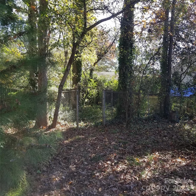 441 Holly Cir, Mount Holly, NC 28120 - view of undeveloped land