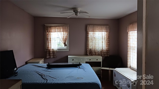 bedroom with ceiling fan