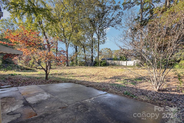 view of yard featuring a patio area