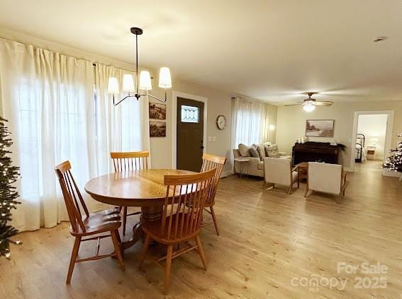 dining room with ceiling fan with notable chandelier and light wood-type flooring