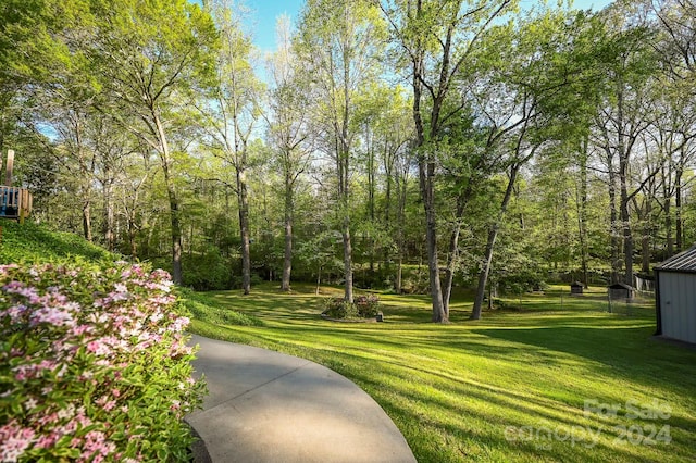 view of property's community with a yard