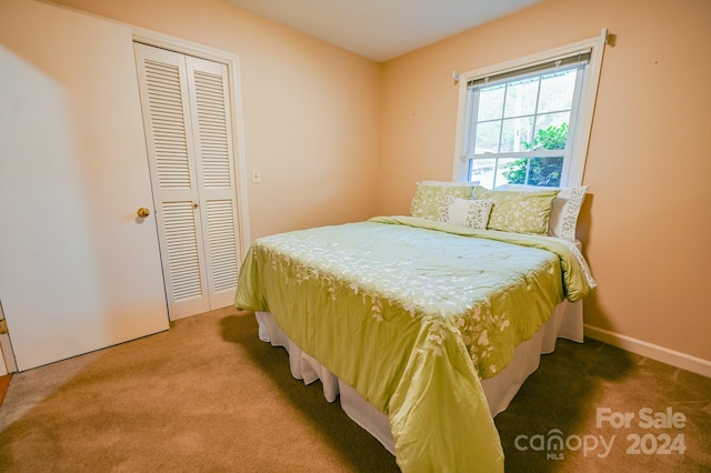 carpeted bedroom featuring a closet