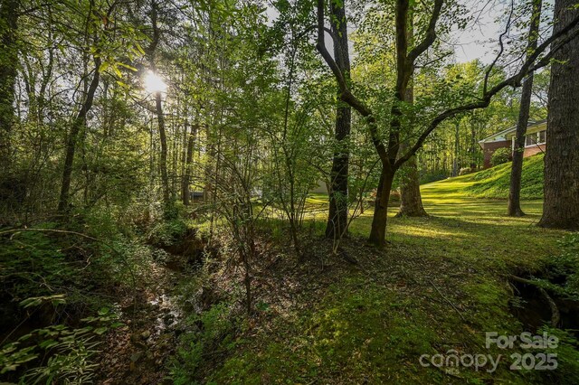 183 Creekside Dr, Forest City, NC 28043 - view of nature