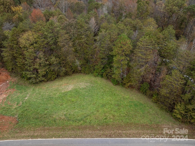TBD Maiden Salem Rd Unit 1, Lincolnton, NC 28092