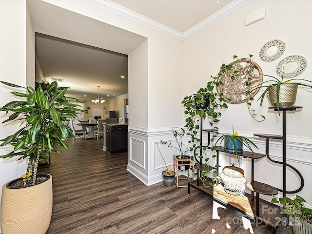 corridor with a notable chandelier, dark hardwood / wood-style flooring, and crown molding