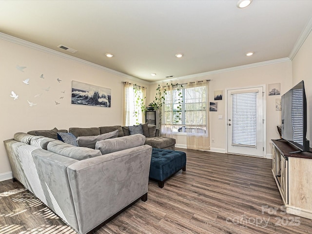 living room featuring dark wood-type flooring and ornamental molding