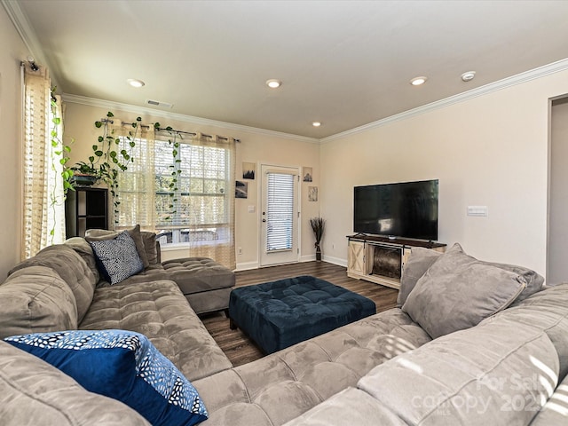 living room with a fireplace, wood-type flooring, and crown molding