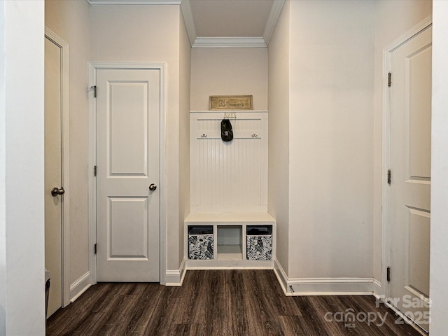 mudroom featuring dark hardwood / wood-style floors and ornamental molding