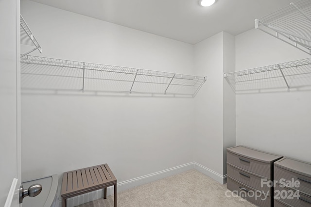 208 Waterlynn Ridge Rd Unit B, Mooresville, NC 28117 - spacious closet featuring carpet