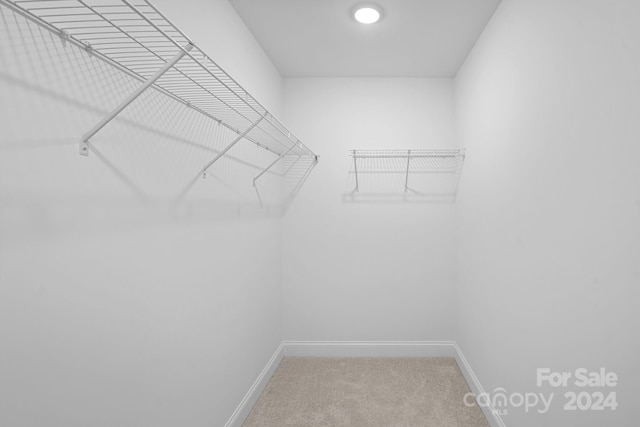 spacious closet with carpet