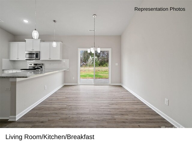 204 Lake George Dr, Shelby, NC 28152 - kitchen featuring stainless steel appliances, white cabinets, wood finished floors, decorative light fixtures, and recessed lighting