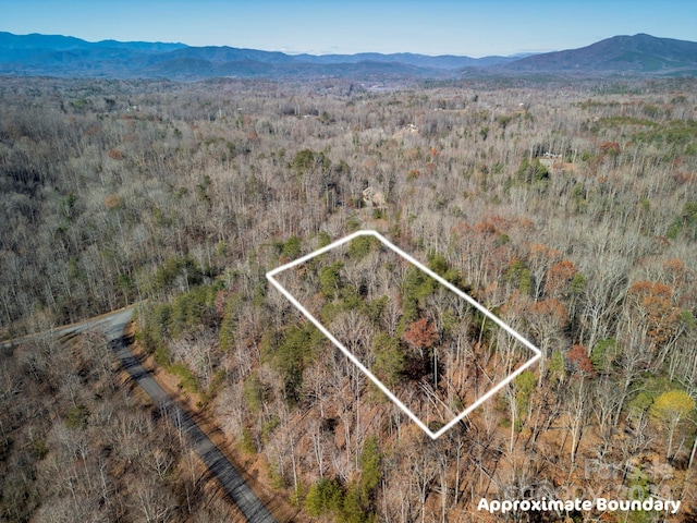 0 Forest Country Dr Unit 60, Marion NC, 28752 land for sale