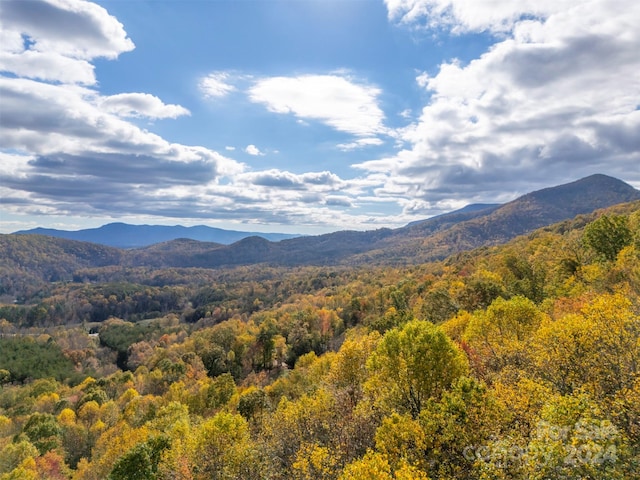 view of mountain feature