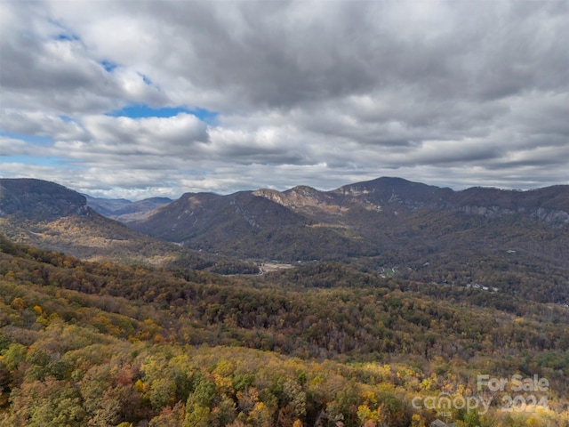 property view of mountains