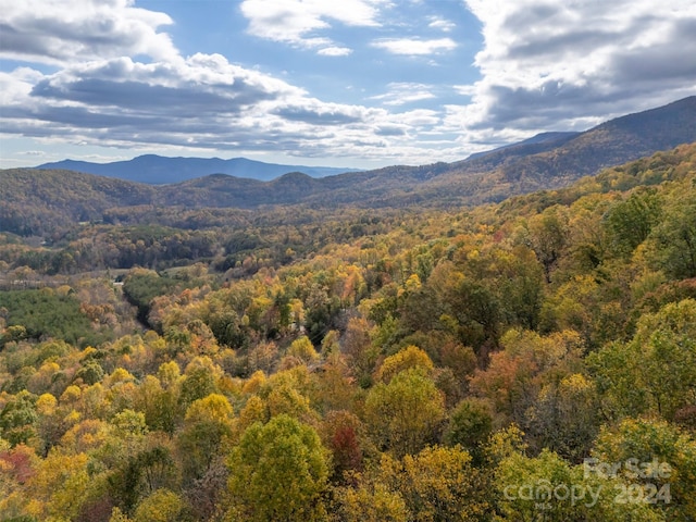 view of mountain feature