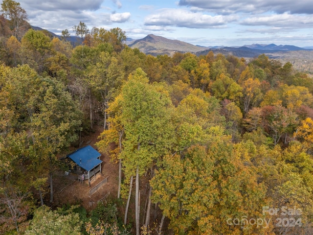 aerial view with a mountain view