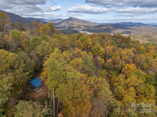 property view of mountains