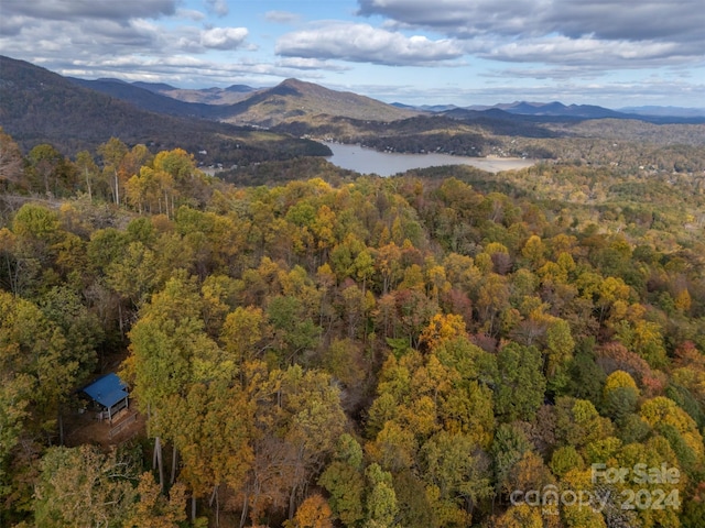 mountain view featuring a water view