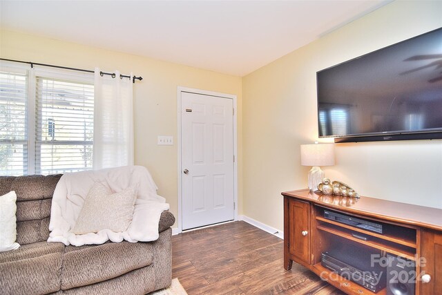 living room featuring dark wood-type flooring