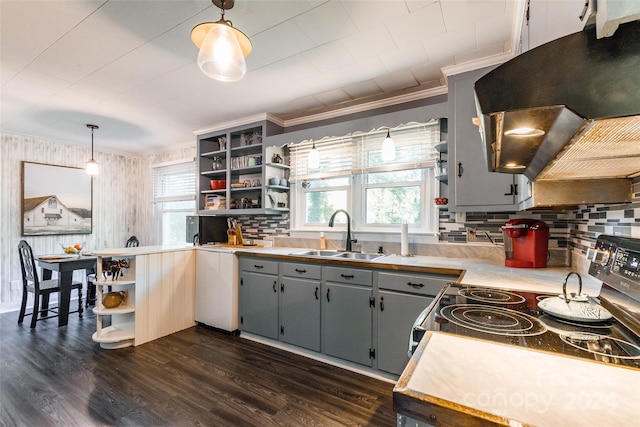 kitchen featuring stainless steel range, sink, hanging light fixtures, ventilation hood, and decorative backsplash